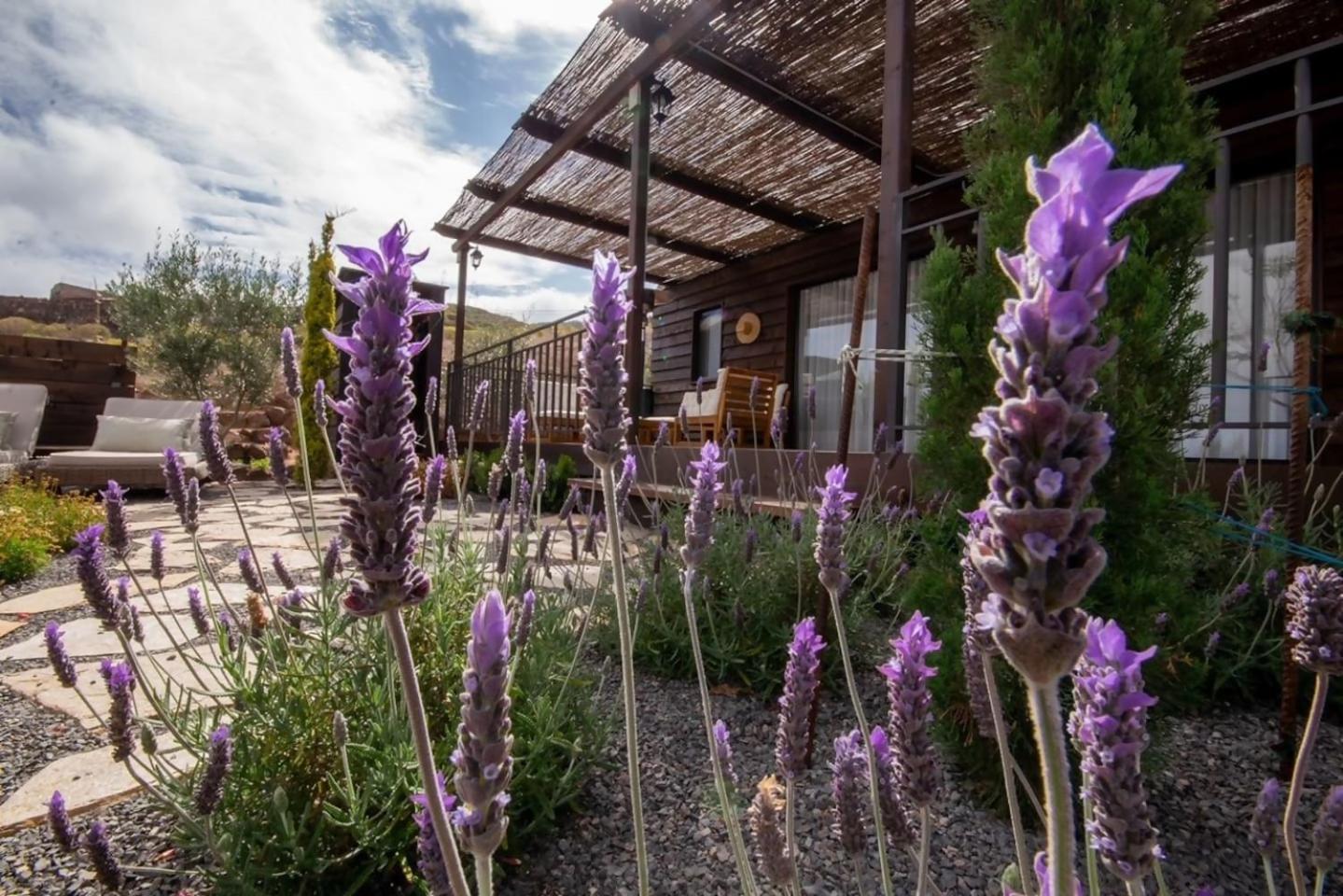 Casa de Férias Jardín Del Norte Gáldar